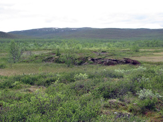 Palsas in der Tundra